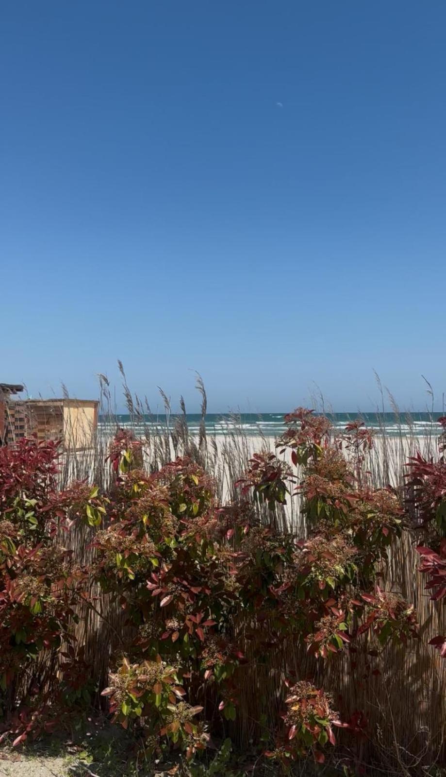 Sea View Luxury Apartament Năvodari 외부 사진